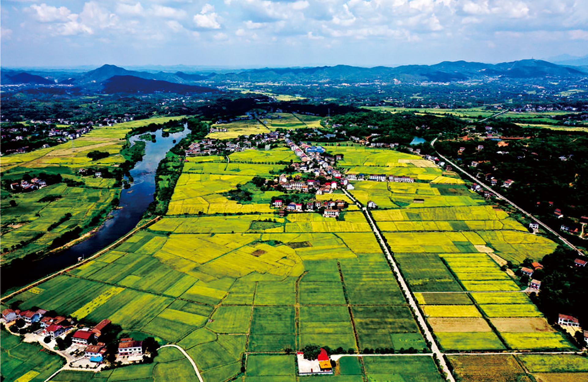 美麗鄉(xiāng)村建設